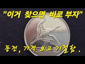 희귀동전 어디에 있을까? 주화 뒤집기로 찾아볼까 50원 100원 500원 드디어 나왔나?