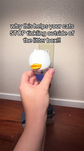 Effective Cat Calming Diffusers for House Training