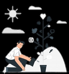 Best SMO Packages | Social Media Optimization Pricing Plans