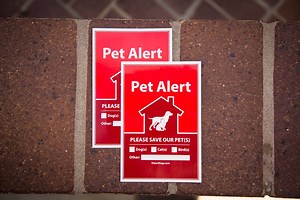 If you have a pet - PLEASE READ BELOW! Imagine with me for a moment this horrifying, but very possible scenario: Your house erupts in flames while you are not home. The fire department responds, but after a quick sweep of the home, they find no people inside. Little did they know that your dog(s) or cat(s) were terrified and hiding out of view! In talking with our own friends and families, we realized how simple of a solution there was to this problem. When we began to show people these stickers