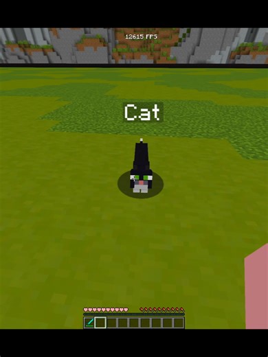 Minecraft Boxing Highlights and Techniques