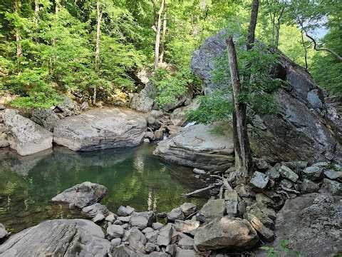 Hike to Laurel Falls-Laurel Snow State Natural Area 5/16/26