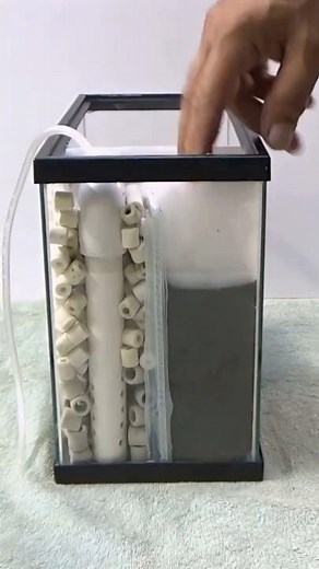 How to DIY Built in Filter Betta Fish Tank 2.5 #shorts #bettafish #builtin #filters #aquarium