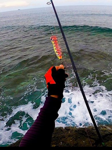 30 grams popper | Giant Trevally