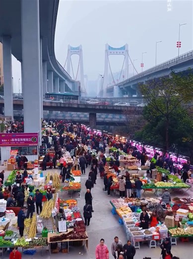 Chinese New Year Countdown Festivities 2026