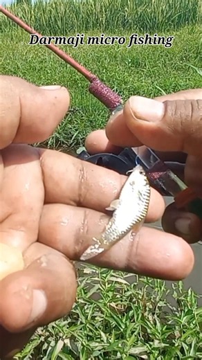 Fishing for Wader in the Gutter with Go Potato Bait, Neo Carbon 0.5 Blue Hook #summerofgoals #222
