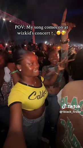 Experience Wizkid's Concert: An Unforgettable Night