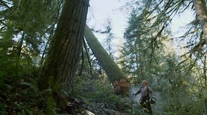 353K views · 4.6K reactions | Cutting down three trees at once! ~SATISFYING~ | Ax Men on History | Facebook