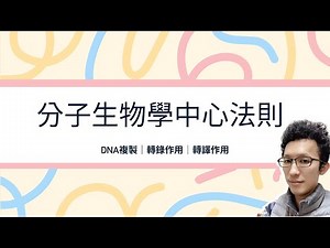 【高中生物】2-2-3 分子生物學的中心法則：DNA複製 轉錄作用 轉譯作用｜108課綱｜遺傳學｜學測｜自然｜花椰菜老師｜高一生物