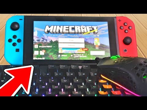 How To Play Minecraft Nintendo Switch With a Keyboard & Mouse!
