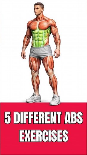 5 Best Abs Exercises Strong Core And Obliques #sixpack #absworkout