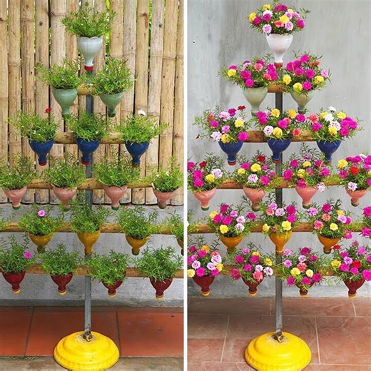 983K views · 13K reactions | How I Created a Stunning Pyramid Garden for Growing Portulaca (Mossrose) | DIY Balcony Garden | Facebook
