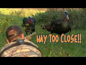 GOBBLER at 4 STEPS!!!! | BEST of TURKEY SEASON