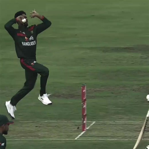 Understanding the Importance of Rules in Cricket