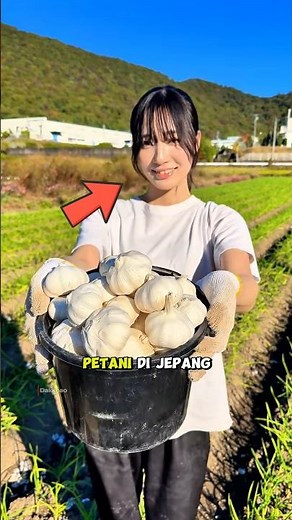 The Reality of Farmers' Lives in Japan