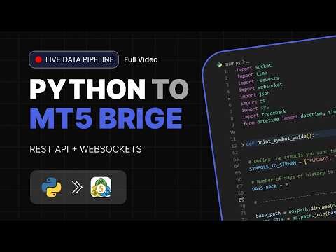 Real-Time Market Rates in MT5 (Verify your Quotes with Tier-1 Rates)