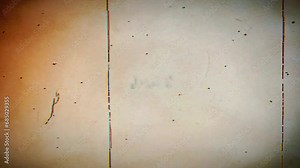 Aged film screen overlays. Noise, hair, and dust textures. Old film screen damaged. Dramatic film atmosphere.