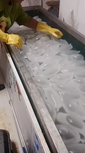 307K views · 1.5K reactions | Discover Efficient Ice Production with...