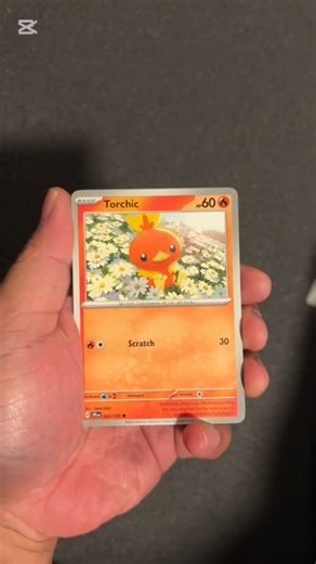 Day 46 Rip!! -Chill Torchic for Luck!! #pokemontcg #pokemoncards #pokemoncommunity