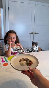 Homemade Kitty Meals & More