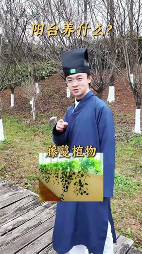 Unlock Taoist Plant Wisdom: A Beginner's Guide