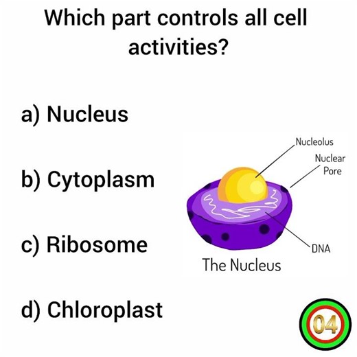 Biology GK Questions and Answers #biologyquiz #amazingscience