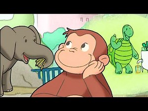 Who's Georges New Neighbor!? 🐘🐢 | Curious George Compilation | Adventure & Play