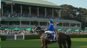 What scenes! A final lap of honour for the wonderful Winx... | At The Races