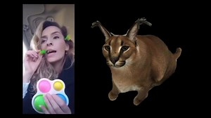 @original_floppa @fl0ppi3st._.fl0ppa floppa vibe