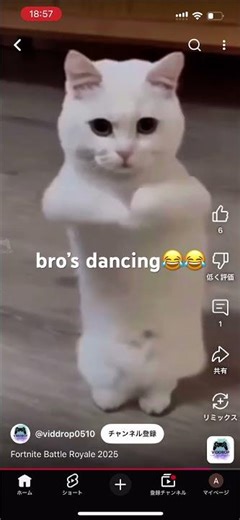 Fortnite naruto dance