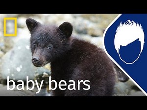 Baby Bears (Episode 7) | wild_life with bertie gregory