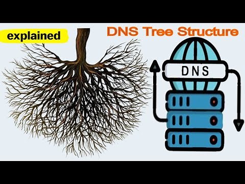 DNS Tree Structure - What is DNS Tree Structure | DNS Hierarchy | Domain Hierarchy | TLD DNS Root