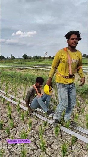 Riding the Line: How Workers Glide Across Fields to String Power Cables