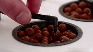 Hydroponics Growing System - Hydroponic Plant Propagaton Reservoir System - DWC Kit with 16 Hydroponic Pods for Indoor Growers - Perfect for Large, Tall Plants