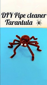 DIY Pipe Cleaner Spider | Halloween Craft 🎃👻| Tarantula Making | Pipe Cleaner Craft Idea#shorts