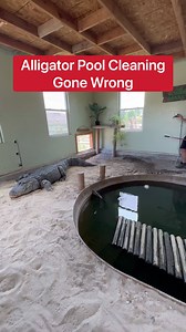 626K views · 2K reactions | Alligator Pool Cleaning Gone Wrong!!!  | Corbin Maxey | Facebook