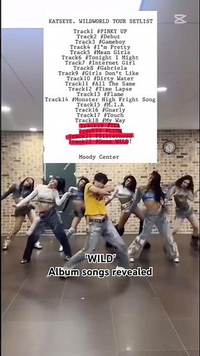 WILD ALBUM SONGS KATSEYE ! #katseye #kpop #txt #enhypen #wildworld #katseye_wild #wildkatseye . 🥳