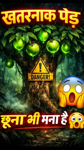 दुनिया के 5 सबसे जहरीले पेड़ 🌳☠️ #shorts #facts #amazingfacts