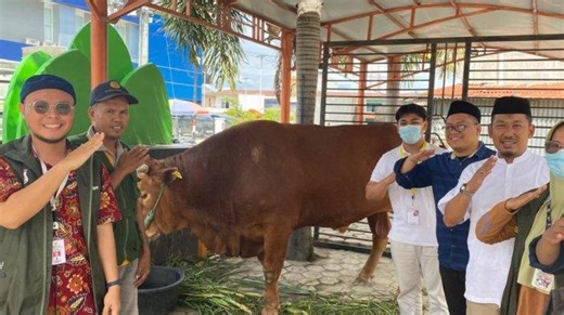 Sapi Kurban Jokowi Berat 1,1 Ton Seharga Rp100 Juta Besok Disembelih di Mateng - Tribun-sulbar.com