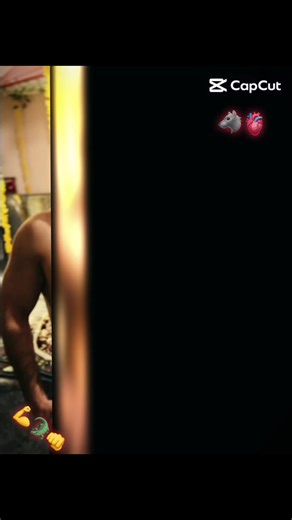 Boxing Enthusiasts Unite: A Diverse Community Celebration