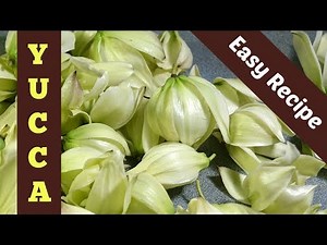 Yucca Flower Comfort Food: From a foraging friend's family