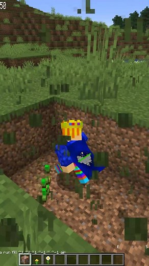 ça sert certainement à rien mais je trouve ça drôle x) #minecraft #commandblock