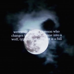 #WEREWOLF #LYCANTHROPY hi tgis was a rwquest #werewolfboy #werewolfaesthetic #werewolfcore #aesthetic #werewolfedit #edit #moodboard #aestheticedits