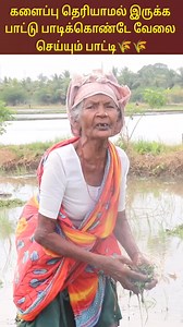 களைப்பு தெரியாமல் இருக்க பாட்டு பாடிக்கொண்டே வேலை செய்யும் பாட்டி🌾🌾🌾 #agriculture #tamilculture #tamilnadu #tnfarmers | Tamil Culture