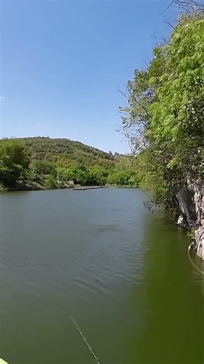 Such a big fish. Massive explosion of water