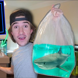 I Can't Believe They Sell This Here.. | The Fish Guys