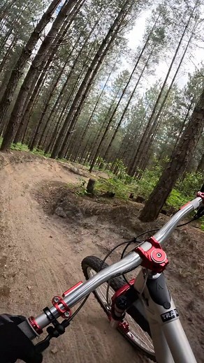 Berminator - Swinley Forest | Trail Explorer