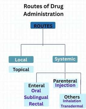 Routes of Drug Administration