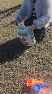 Bts having a 3 year old as my film crew 🤣 how did he do? JANUARY 27TH 8PM EST | Jessica is Spoiled