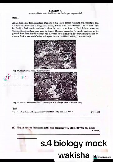 S.4 Biology Mock 2024 Wakisha - Unofficial Markscheme